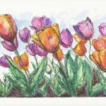 Tulip Garden