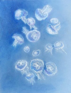 Moon Jellyfish | 17"x15" Mixed Media