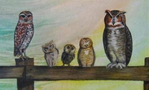 A Parliament of Owls | 14"x20" Framed Mixed Media