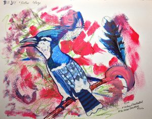 Blue Jay | 11"x14" Mixed Media