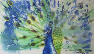 Peacock | 12"x15" Framed Mixed Media